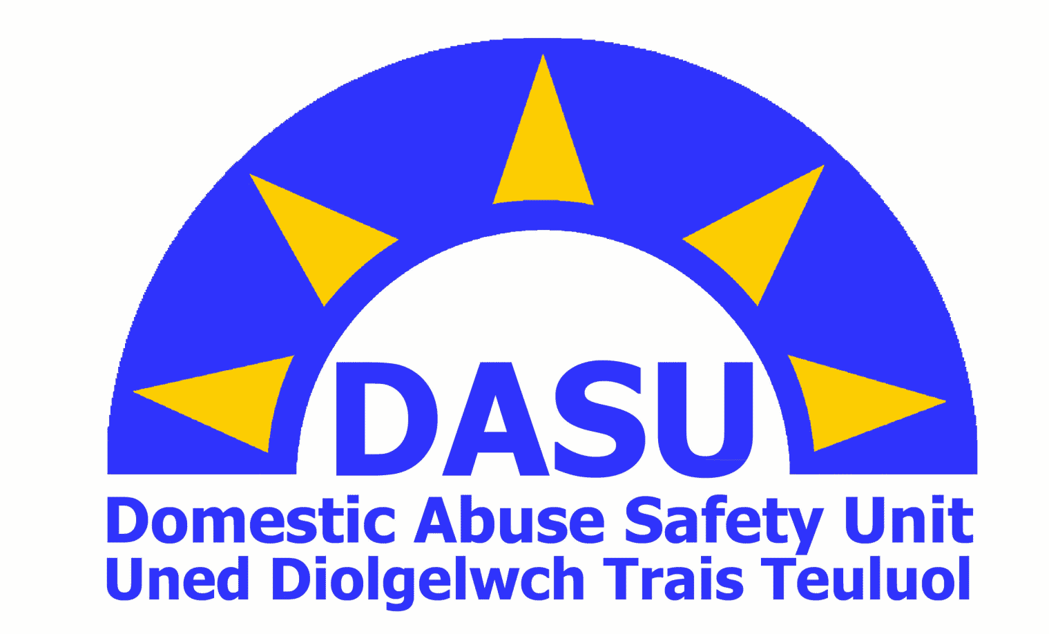 Domestic Abuse Safety Unit